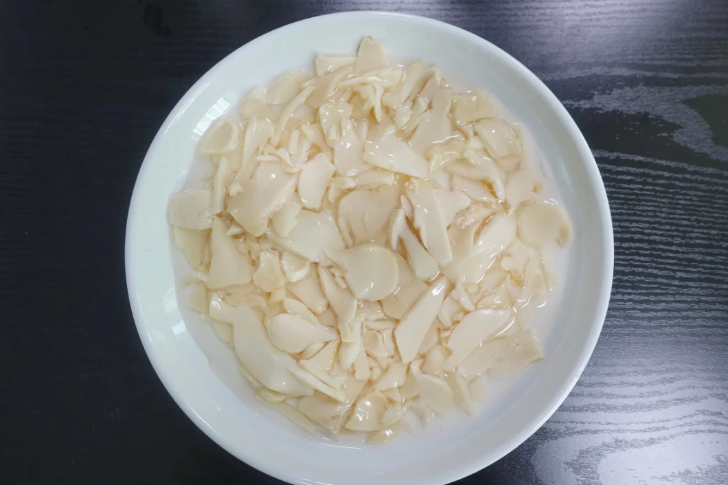 Hot Sale Canned King Oyster Mushroom Pns with Factory Price