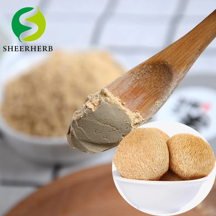 Sheerherb Lion's Mane Mushroom Extract 100% Pure Immune Support Improve Memory