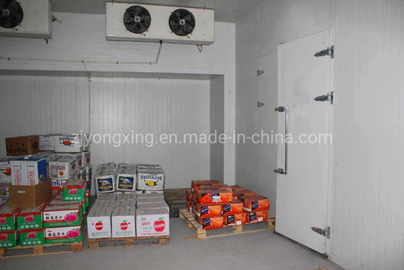 Fresh Oyster Tuna Fish Walk in Freezer/Cold Storage Room Supplier in China