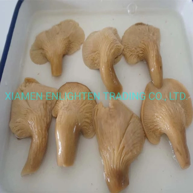 Canned Abalone Mushroom in Brine425g Clear Edible Fresh Water Mushroom with Superior Quality