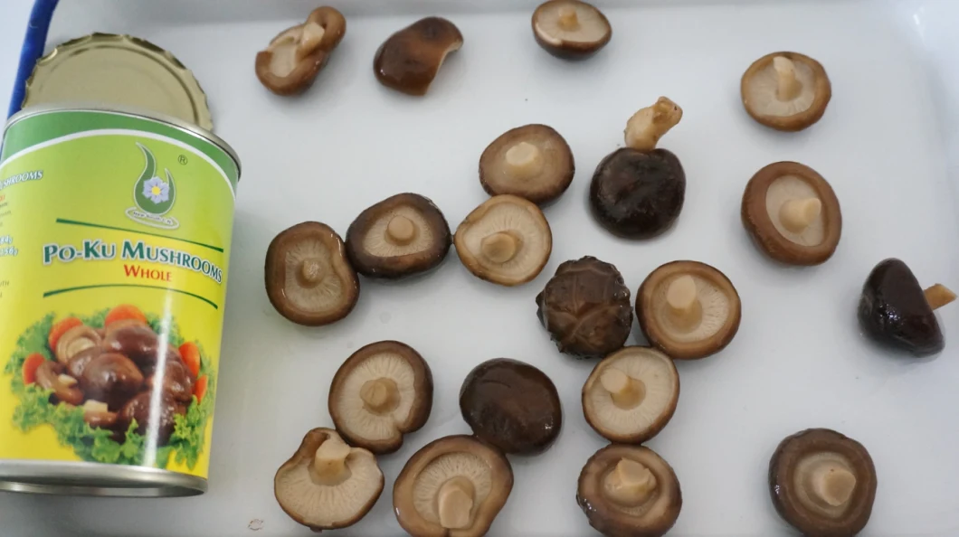 Best Can Food Hot Shitate Mushroom Whole Fleurs Shiitake Mushroom in Can