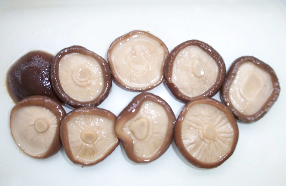 Canned Shiitake Mushroom Whole, Halves