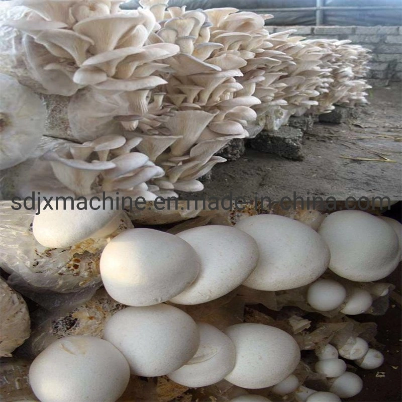 Mycelium Bags Filling Machine/Mushroom Growing Stick Bagging Machine