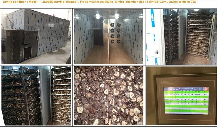 Kinkai Mushroom Dryer Machine Shiitake Dehumidify Drying