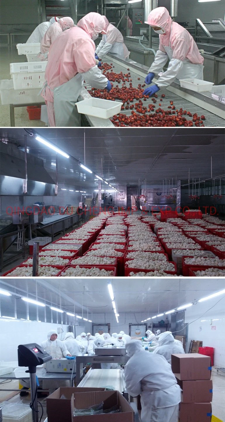Professional Manufacturer of Frozen Vegetables Wholesale Bulk Mushroom Sliced Frozen Champignon