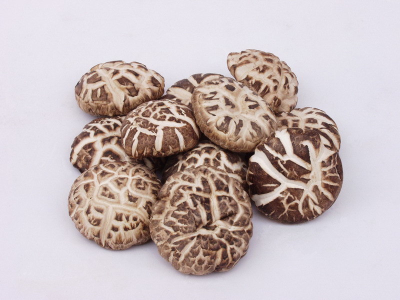 Dry Fungus Dried Shiitake/Flower Mushroom in Bag