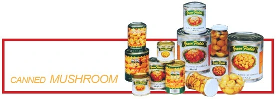 Best Can Food Hot Shitate Mushroom Whole Fleurs Shiitake Mushroom in Can