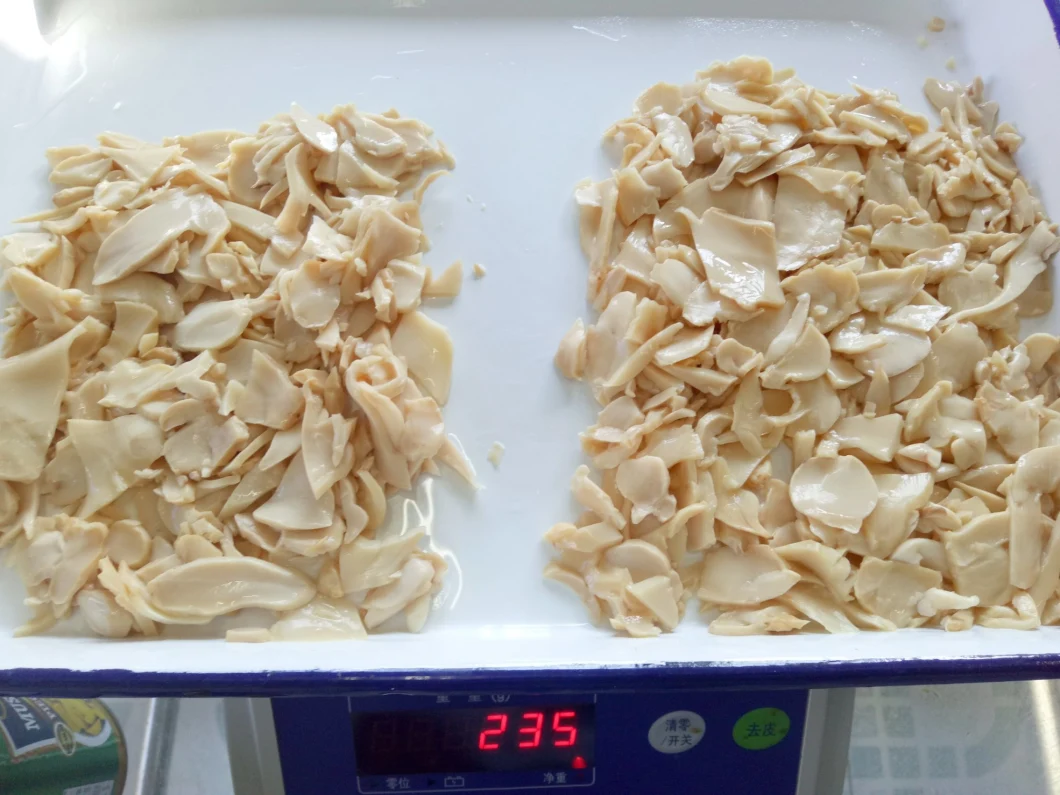Canned Food Canned Oyster Mushroom with Private Label