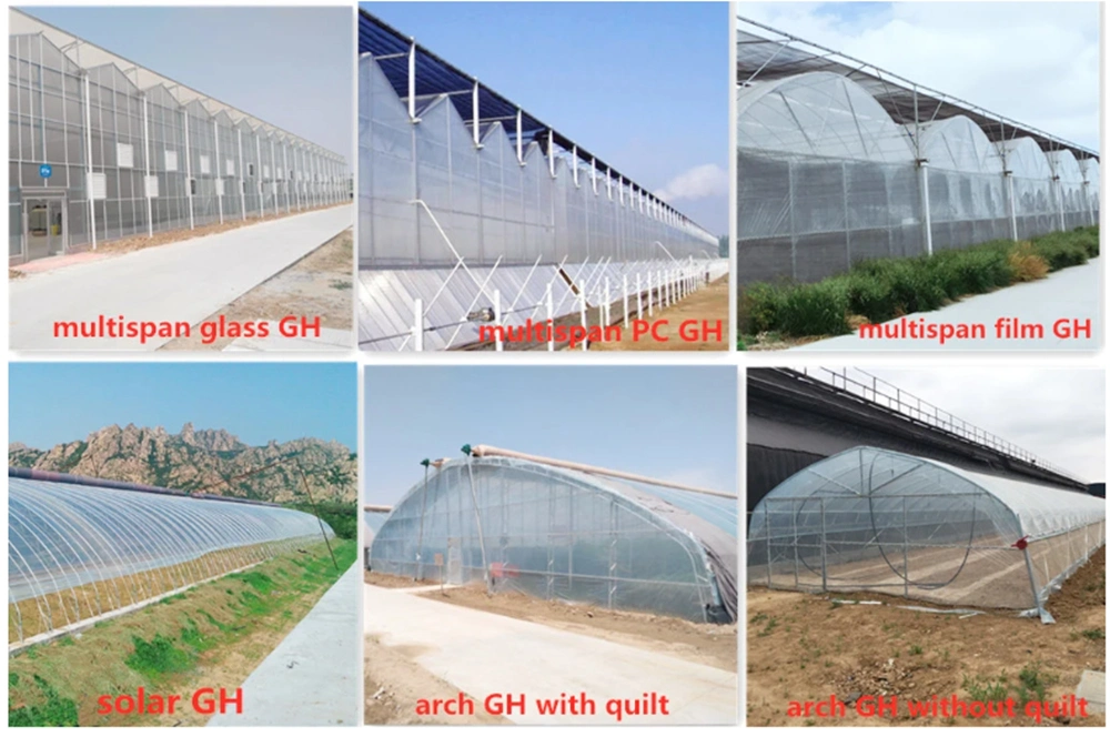 Agricultural Multi-Span Plastic Film Hydroponics Growing Cucumber/Tomato/Pepper/Mushroom/Garden Greenhouse for Sale