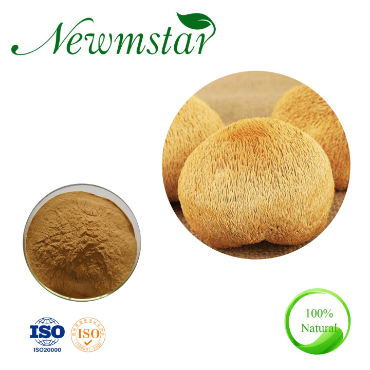 Hericium Erinaceus Extract Powder Lion's Mane Mushroom Extract