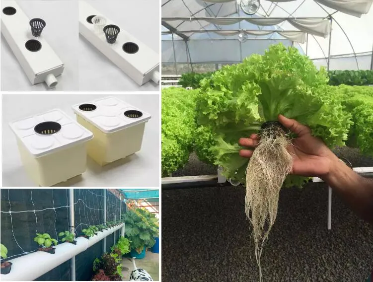 3inch Hydroponic Grow Plant Net Pot Hydroponic Nutrient Solution Nft System Mushroom Farm Planter Net Cup