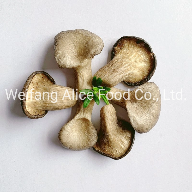 Wholesale High Quality Vacuum Fried Foods Vf Oyster Mushroom