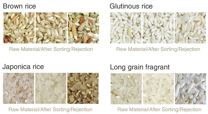 China Rice Color Sorter Machine for Black Rice, Brown Rice, Thailand Rice, Small Yellow Rice