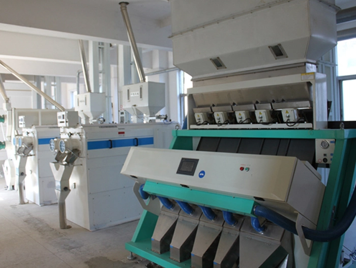 China Rice Color Sorter Machine for Black Rice, Brown Rice, Thailand Rice, Small Yellow Rice