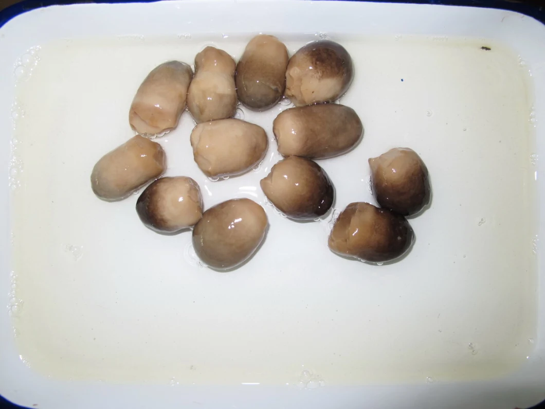 Top Grade Canned Straw Mushroom From China