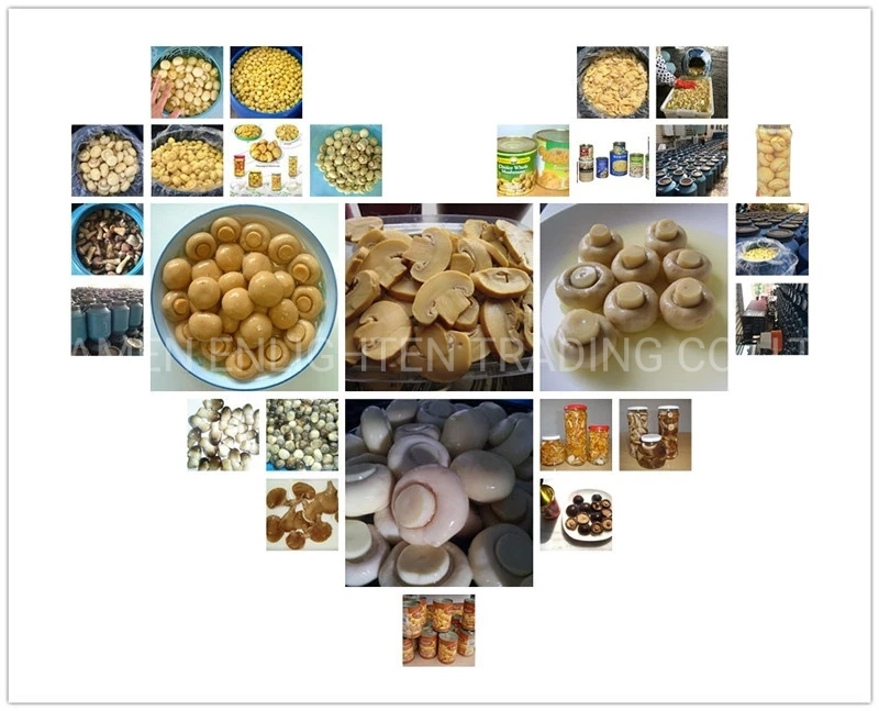 Chinese Traditional Healthcare Shiitake Mushroom with Own Brand