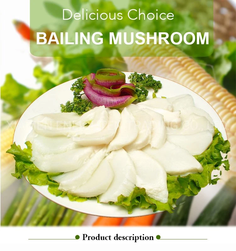 Delicious Maling Food Canned Wild Bailing Mushroom