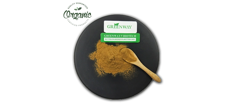 Natural Plant Extract Powder 10%~50% Polysaccharide Organic Chaga Mushroom Extract