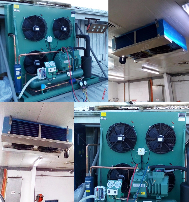 Oyster Mushroom Production Line Cool Room Refrigeration Units Prefabricated Cold Room Restaurant Walk in Freezer