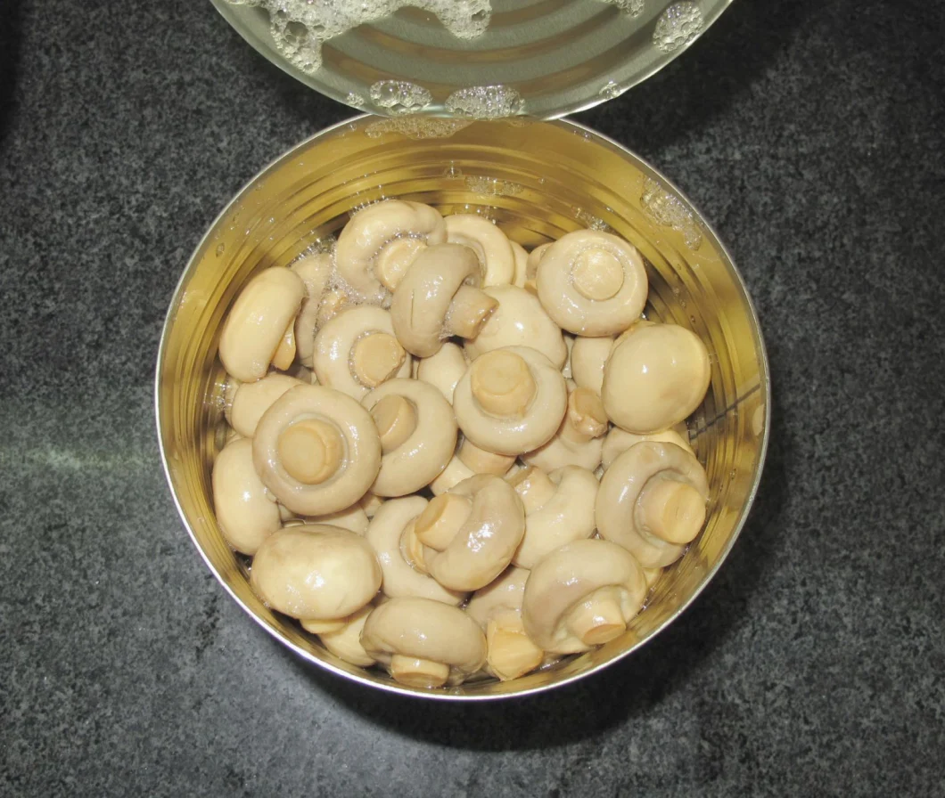 Good Quality Canned Mushroom Sliced Mushroom in Brine Mushroom Slices with Factory Price
