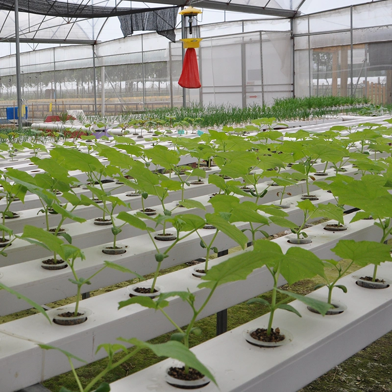 3inch Hydroponic Grow Plant Net Pot Hydroponic Nutrient Solution Nft System Mushroom Farm Planter Net Cup