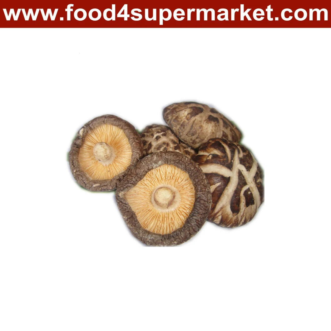 Shiitake Mushroom 300g \ 500g \ 1kg