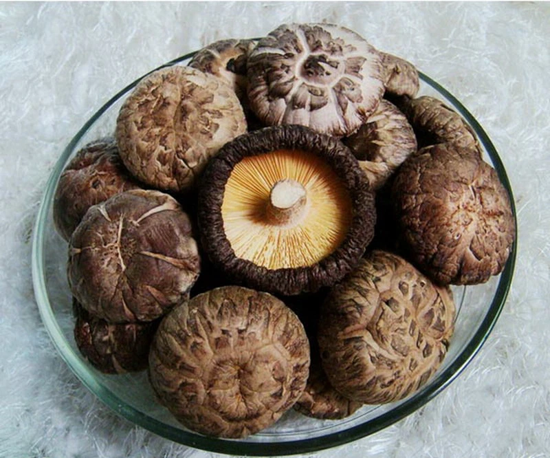 Chinese Food Dry Fungus Dried Shiitake /Flower Mushroom