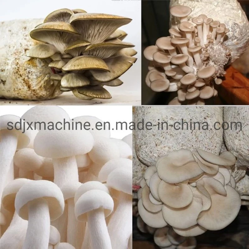 Mushroom Bag Filling Machine, Fungus Grow Bag Bagger, Edible Cultivate Bag Filling Machine