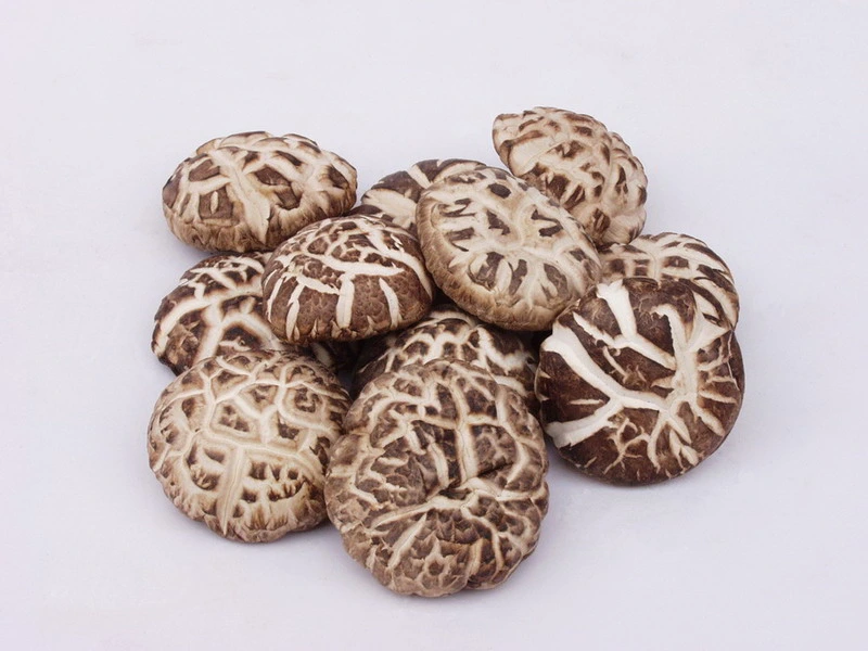 Chinese Food Dry Fungus Dried Shiitake /Flower Mushroom