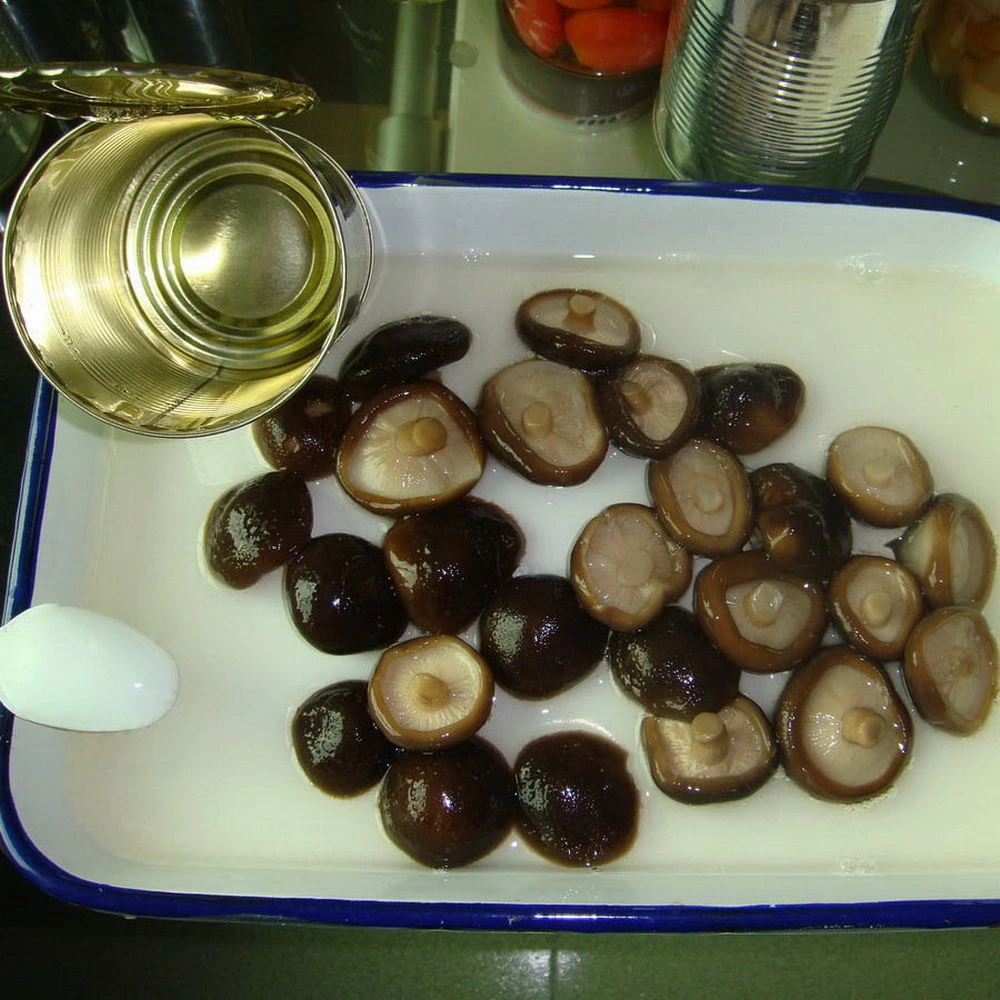 Canned Shiitake Mushroom Whole From China