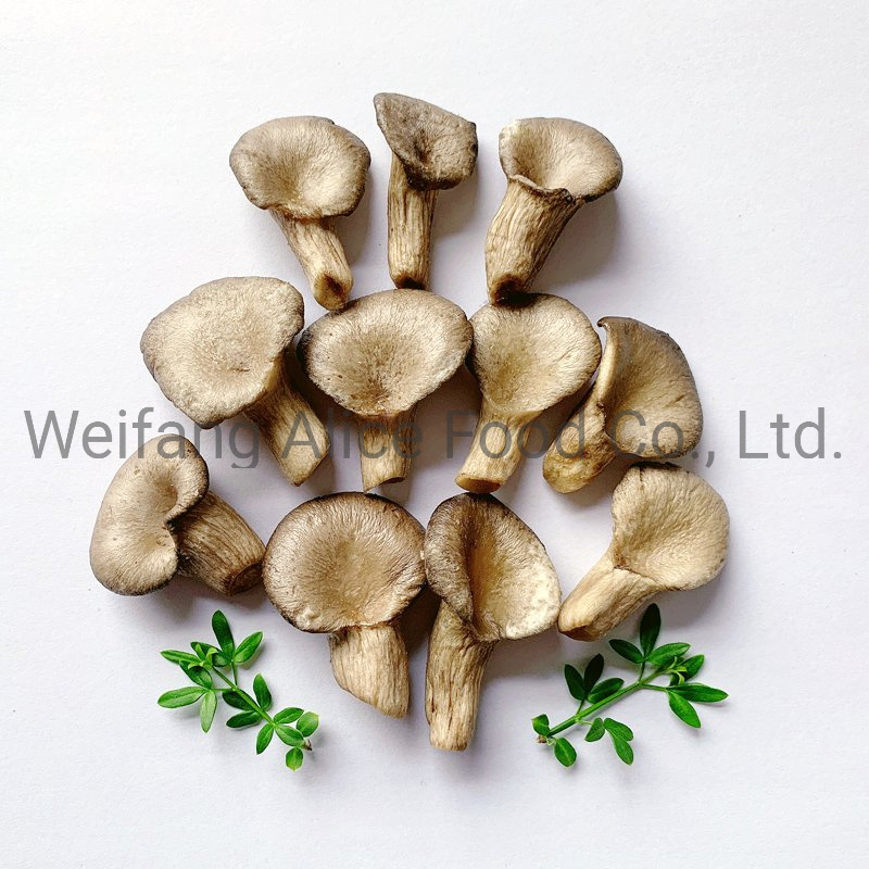 China Snacks Supplier Healthy Snack Food Vegetables Vf Oyster Mushroom Chips
