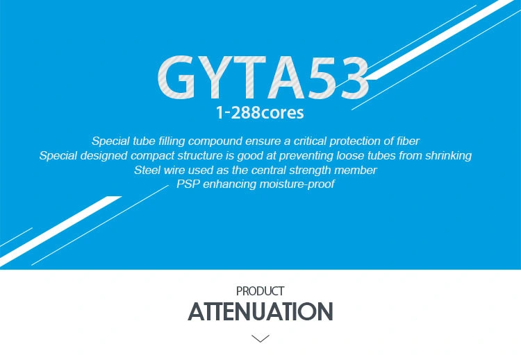 GYTA53_01