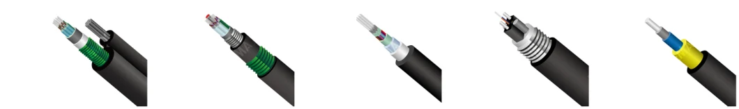 2~288c Outdoor Armored Fiber Optic Cable with PE Jacket