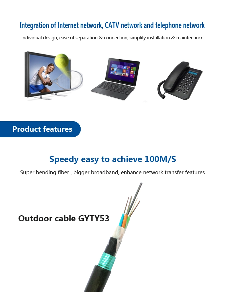 Armored Fiber Optic Cable of High Quality GYTY53