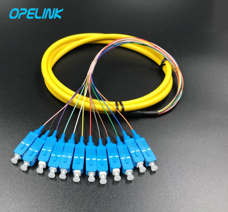 12 Cores Bundle Distribution Optical Fiber Cable Sc/Upc Fiber Optic Pigtail
