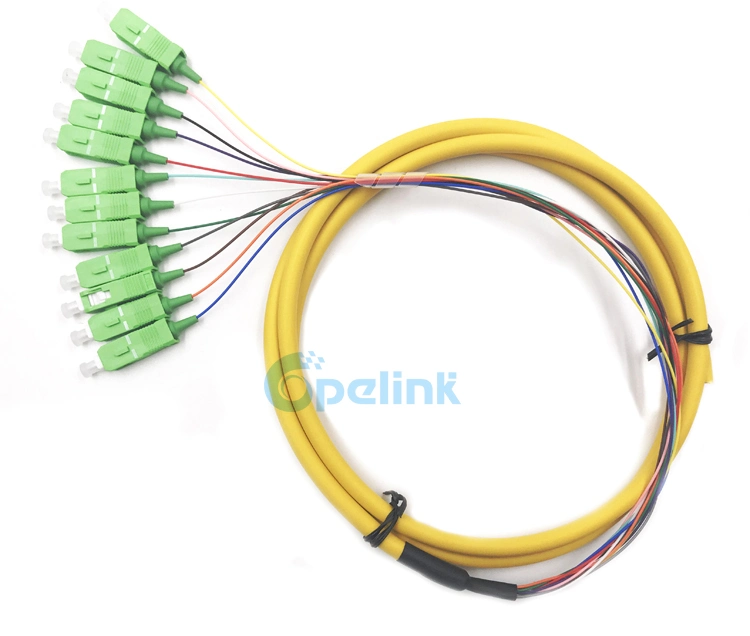 Sc/APC Boundle Distribution Fiber Cable Sm 9/125 Fanout 0.9mm Optical Fiber Pigtail