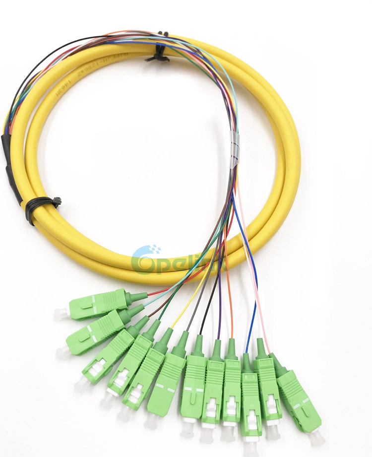 Sc/APC Boundle Distribution Fiber Cable Sm 9/125 Fanout 0.9mm Optical Fiber Pigtail
