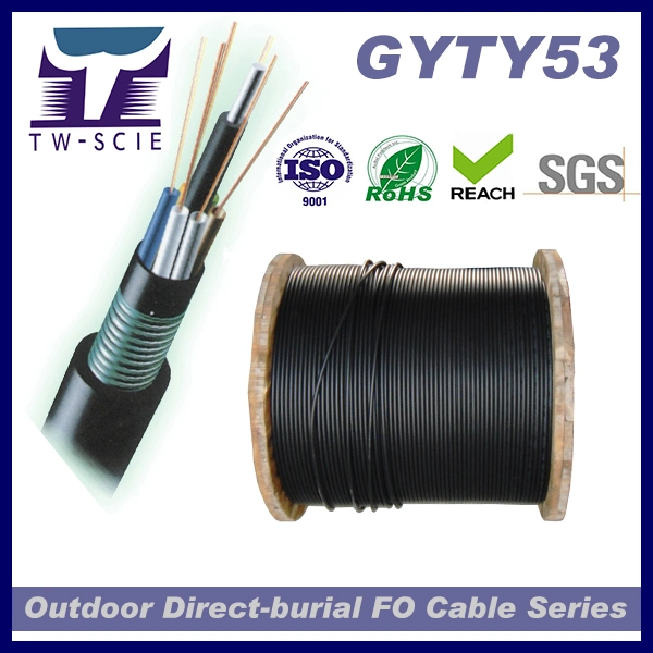 Manufacturer of Outdoor Fiber Optic Armoured 12 Core Single Mode Fiber Optic Cable (GYTY53)