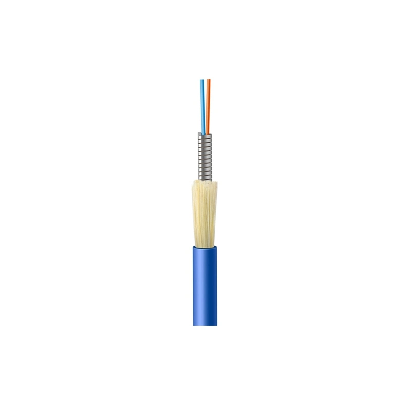 Gjsfjv Indoor Armored Optical Fiber Cable 2 Core Fibra Optic Cable for Indoor Communication Cable