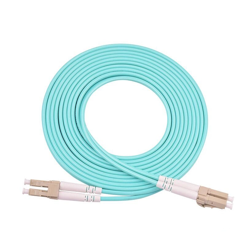 LC/Upc- LC/Upc Duplex 100g Single Mode Indoor Armored Fiber Optic Patch Cable
