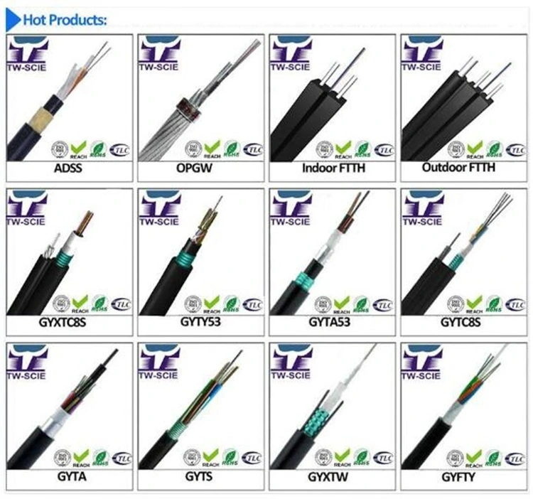 72/96 Core Manufacturer with Competitive Prices Armoured Duct Fiber Optical Fiber Cable (GYTS)