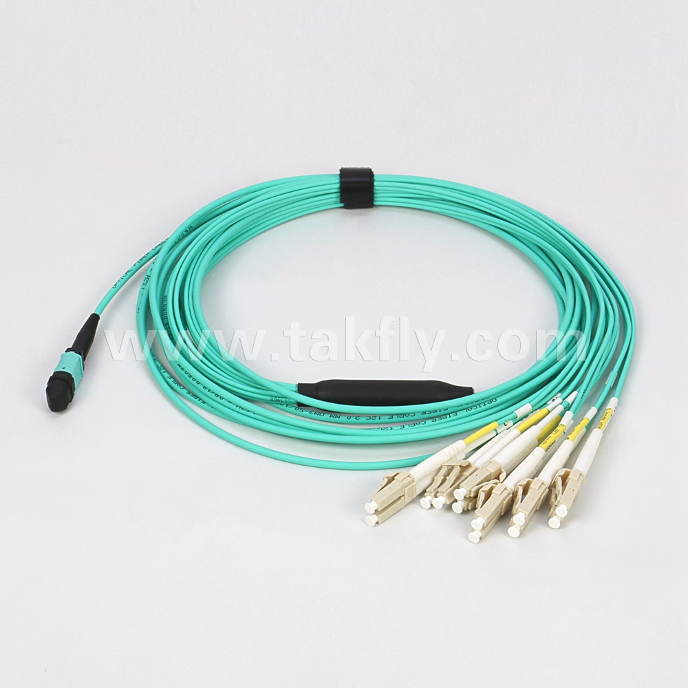 CPR Eca 12 Cores MPO-LC Om3 Data Center Network Fiber Optic Breakout Patch Cable