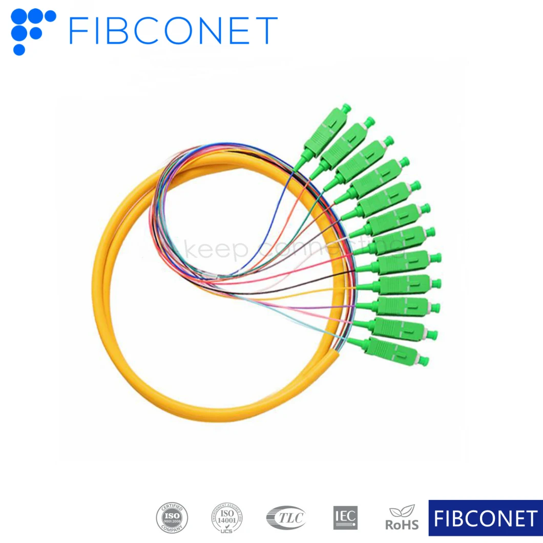 FTTH Pigtail 12core Sc APC PVC Single Mode Fiber Optic Cable/Patchcord/Pigtail