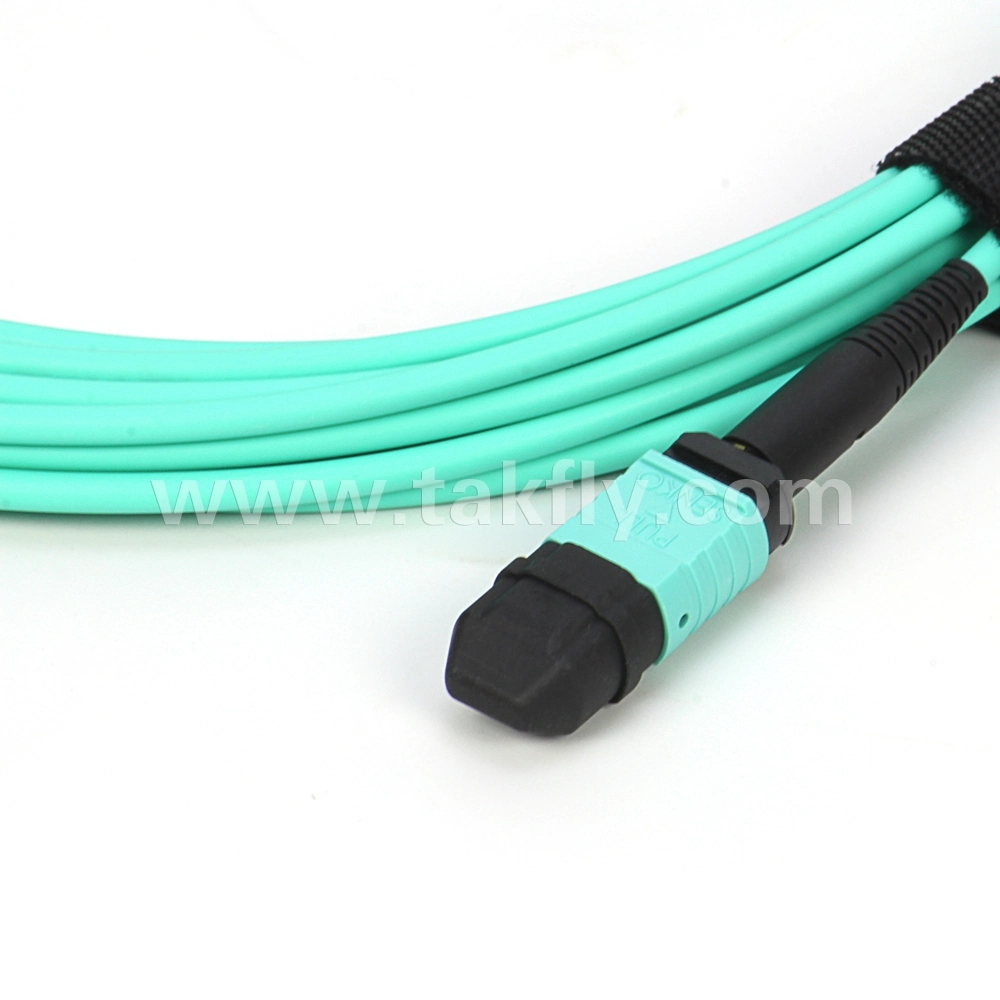 12cores MPO Female Type Data Center Fiber Optic Network Cabling Trunk Cable
