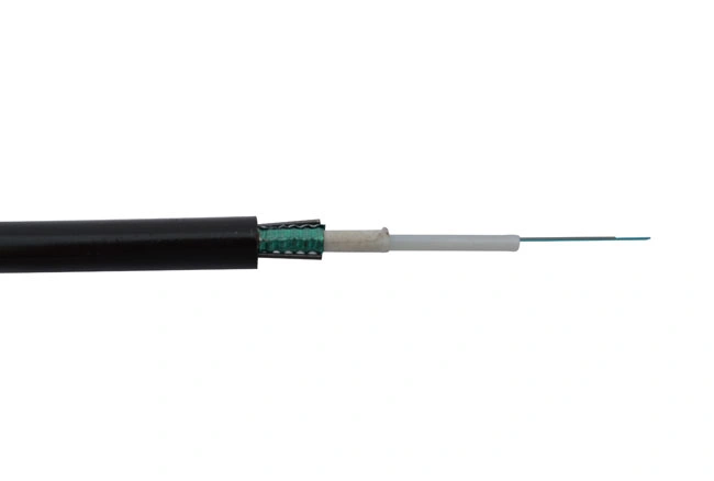 2 / 4 / 6 / 8 / 12 / 16 / 24 Core Single Mode Outdoor Armored GYXTW Fiber Optic Cable