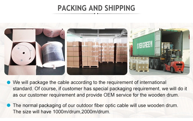 G657A1 G657A2 LSZH 3mm steels SM fiber optic cable with steel messenger drop fiber optic cable