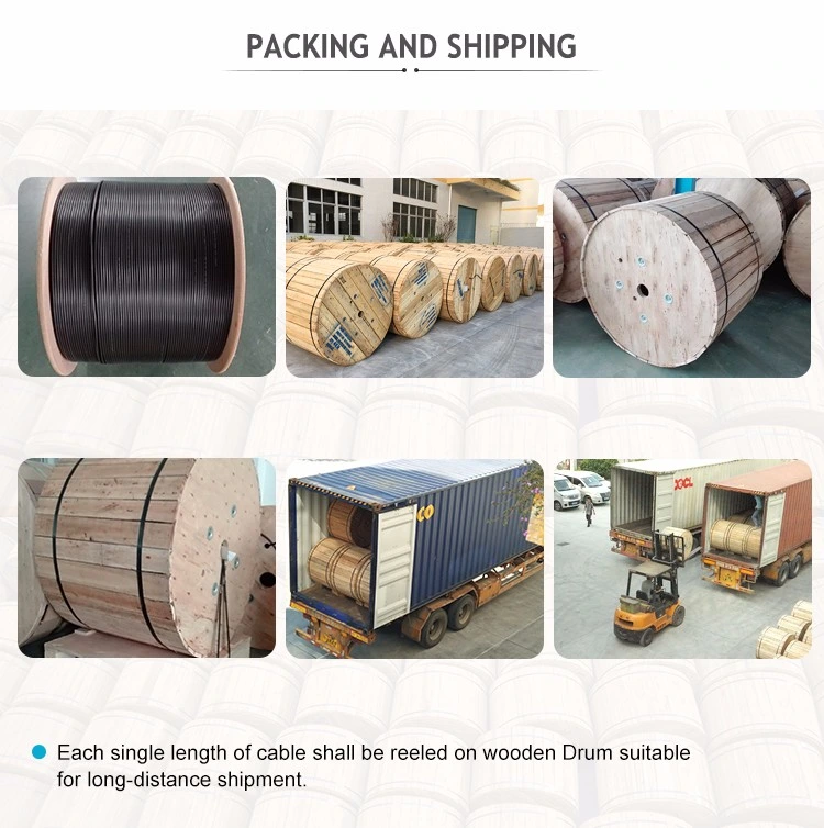 Factory Price Outdoor fiber optic cable 2 strand g652d 48 core adss optic fiber cable