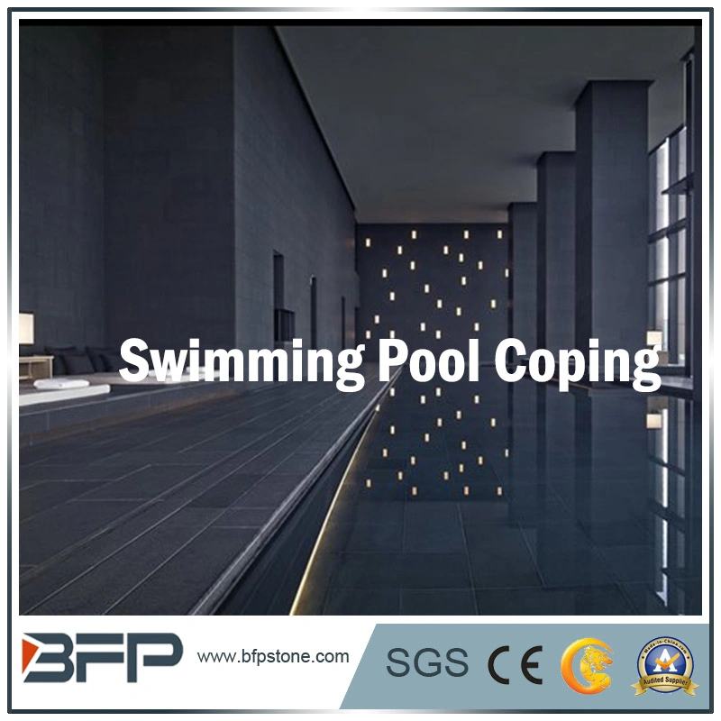 Black Granite Swimming Pool Coping/Pool Paving/Swimming Surrounding for Floor/Pool