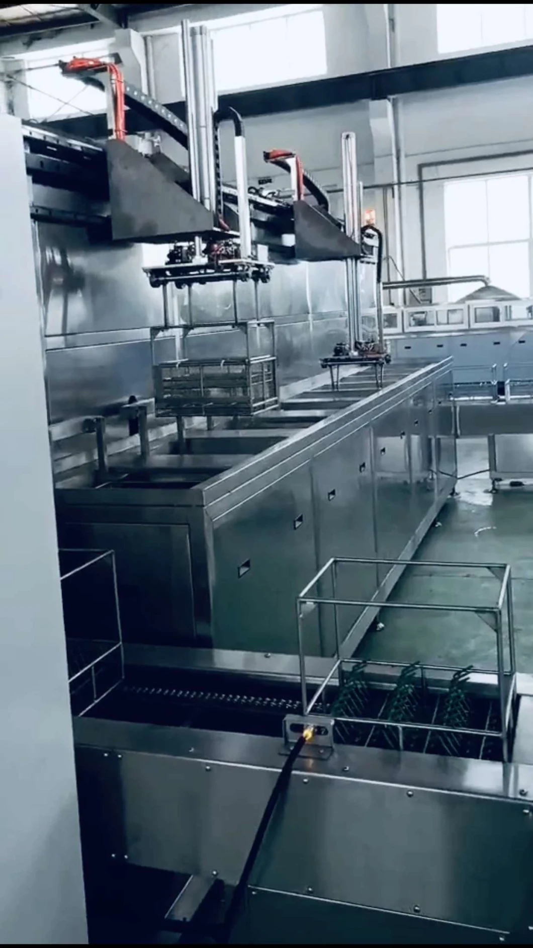 Isonics Automated Basket Transfer Industrial Cleaning Machines with Mechanical Arms