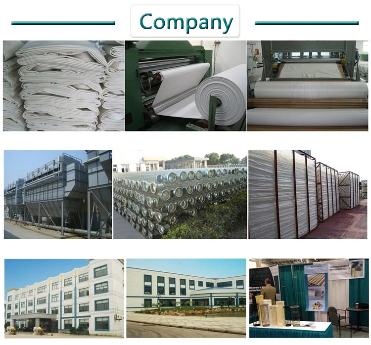 Cement Industy Chemical Resistance PPS Fiber Filter Bags